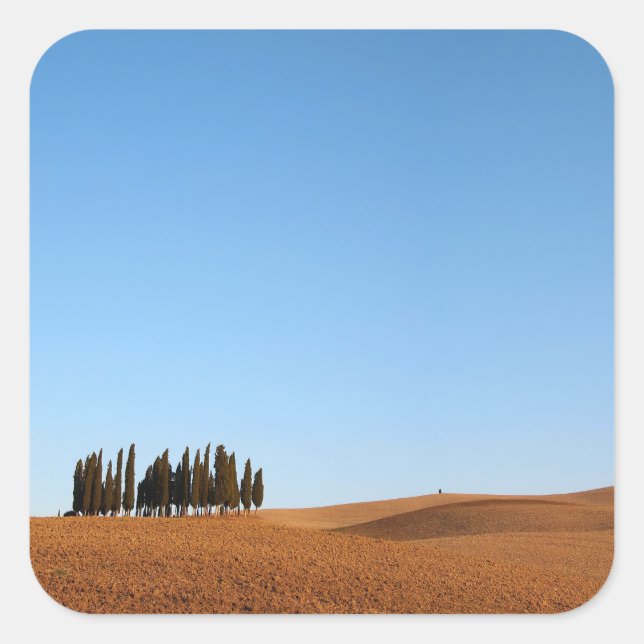 Square Tuscany landscape with cypresses sticker (Front)