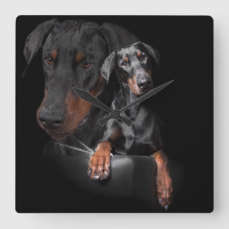Square Wall Clock Dobermann