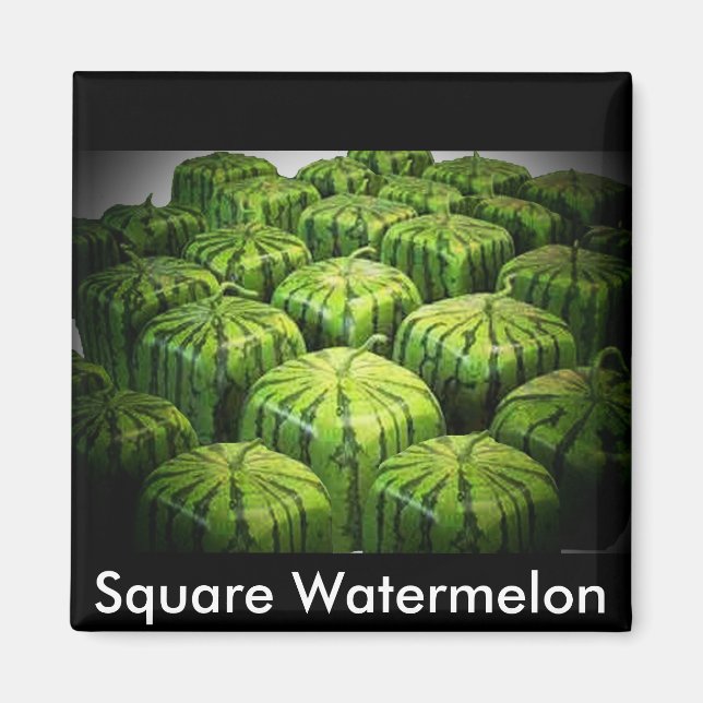 Square Watermelon Magnet (Front)