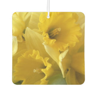 Square Yellow Daffodils Air Freshener
