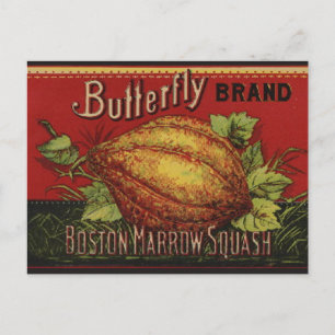 Squash Antique Vegetable Label Can Postcard