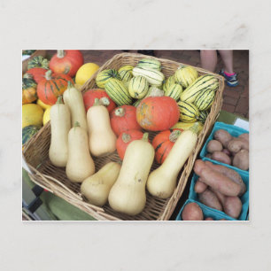 Squash Assortment Postcard