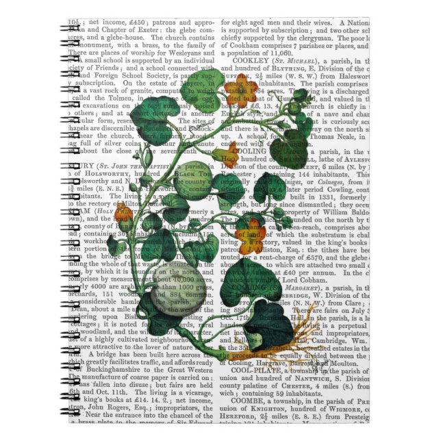 Squash Vine 2 Notebook (Front)