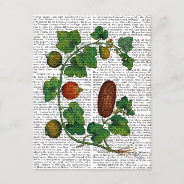 Squash Vine 3 Postcard (Front)