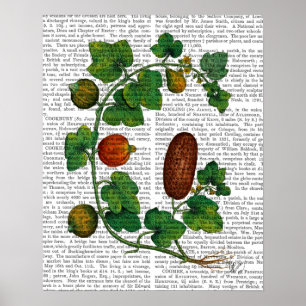 Squash Vine 3 Poster