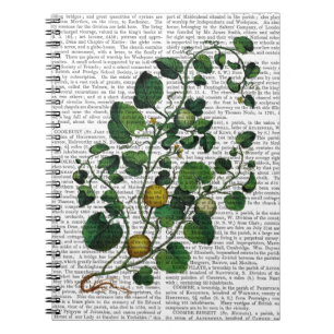 Squash Vine 4 Notebook