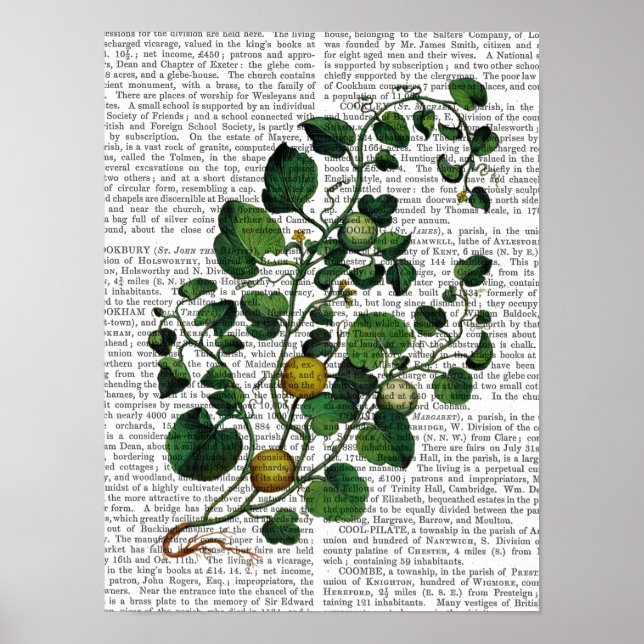 Squash Vine 4 Poster (Front)