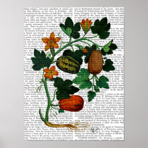 Squash Vine Poster