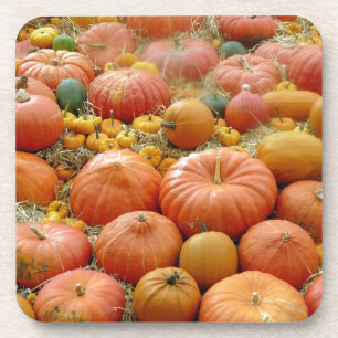 Squashes Galore Coaster