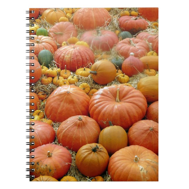 Squashes Galore Notebook (Front)