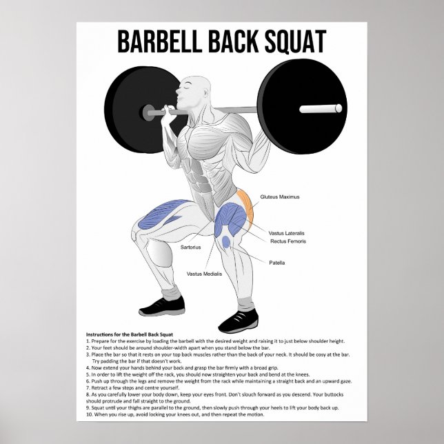 Squat - Exercise - Muscle Anatomy Chart (Front)