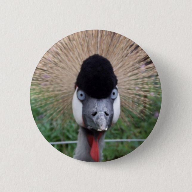 Squawk! 6 Cm Round Badge (Front)