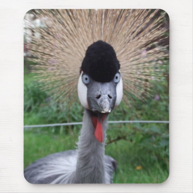 Squawk! Mouse Pad (Front)