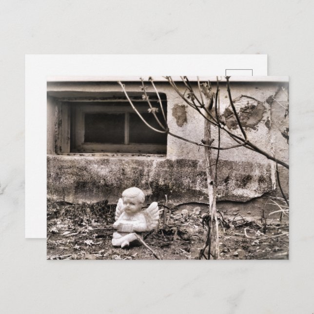 Squeezebox Angel in Winter Garden Sepia Tones Postcard (Front/Back)