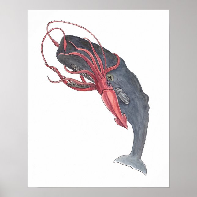 Squid and Whale Watercolor Art Print (Front)