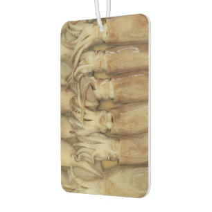 Squid - Calamari Car Air Freshener