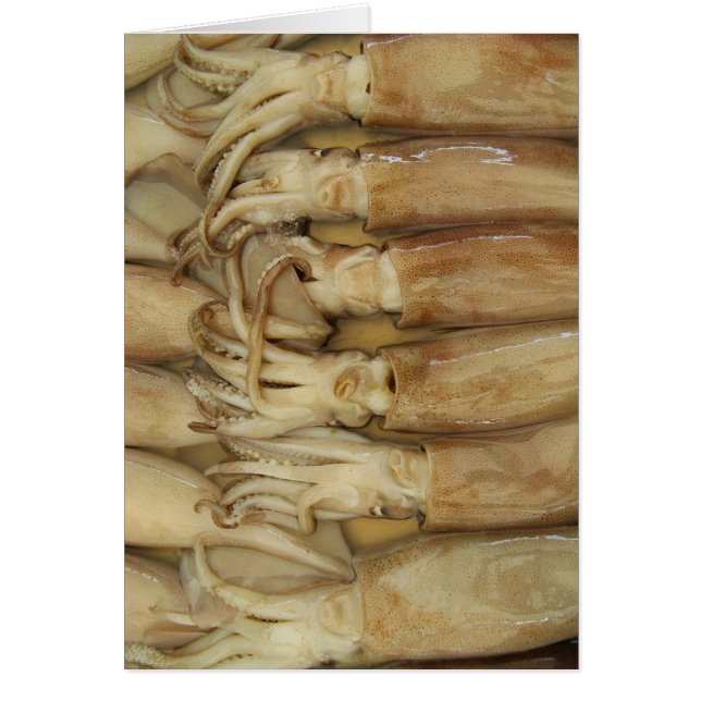 Squid - Calamari Card (Front)