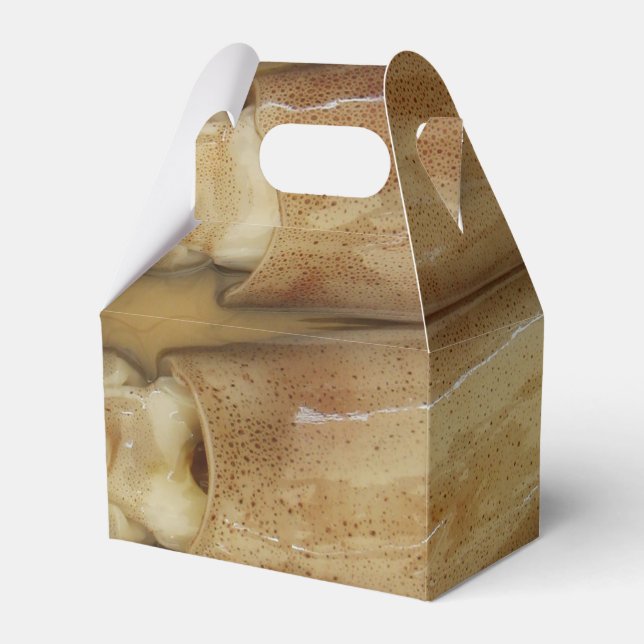 Squid - Calamari Favour Box (Front Side)