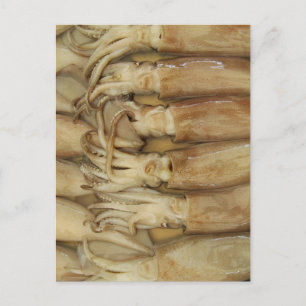 Squid - Calamari Postcard