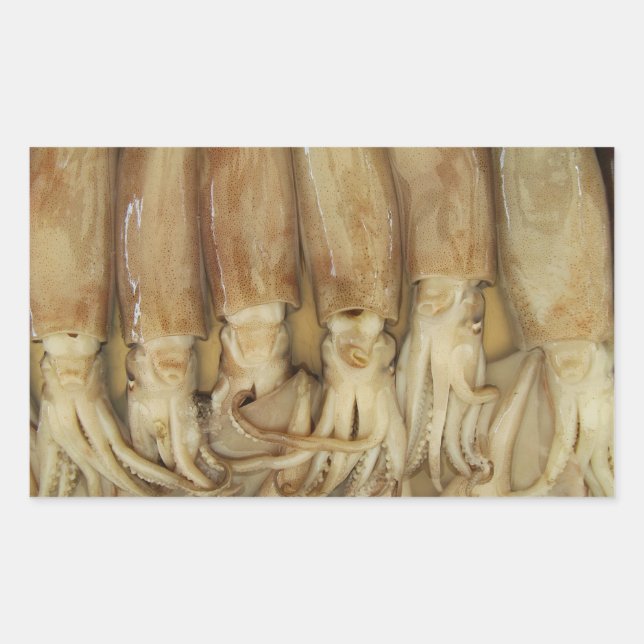 Squid - Calamari Rectangular Sticker (Front)