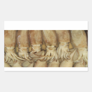 Squid - Calamari Rectangular Sticker