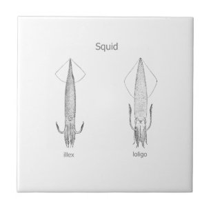 Squid Logo (line art) Ceramic Tile