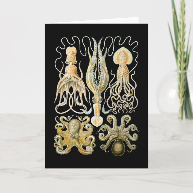 Squid & Octopus Card (Front)