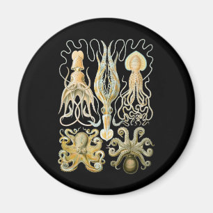 Squid & Octopus Magnet