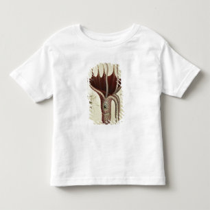 Squid, Pl.2 from 'Histoire Naturelle Toddler T-Shirt