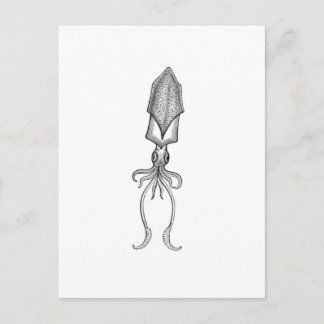 Squid Postcard