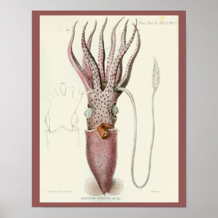 Squid Purple Cephalopod Sea Creatures Art Print