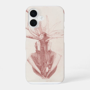 Squid Vintage Nautical Art iPhone 16 Case