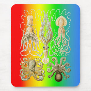 Squids and Octopods Mouse Pad
