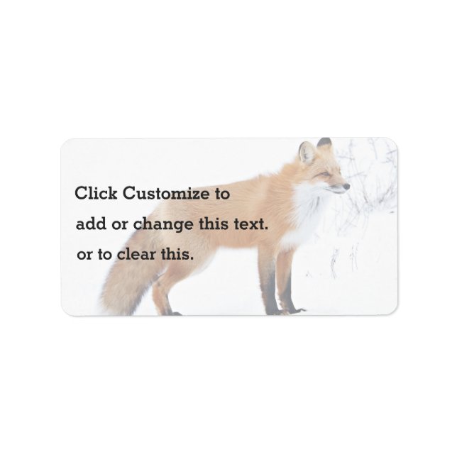 Squinting Fox Standing In Snow Label (Front)