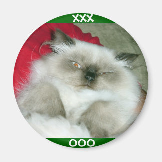 Squinty Himmy Magnet