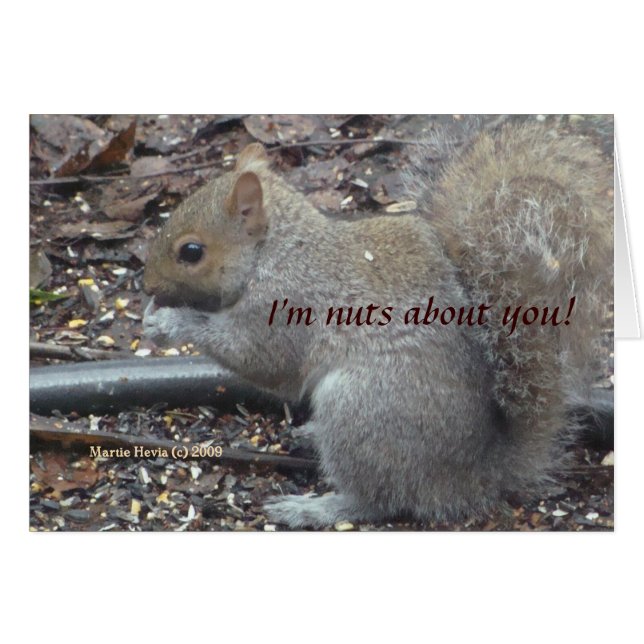 Squirrel (1a) - I'm Nuts About You! - Customisable (Front Horizontal)