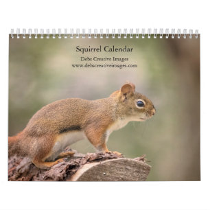 Squirrel 2026 calendar