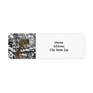 Squirrel 6144 Label Return Address Label