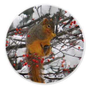 Squirrel 6234 Frame Ceramic Knob
