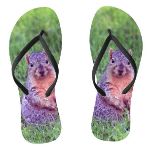 Squirrel 6705 thongs