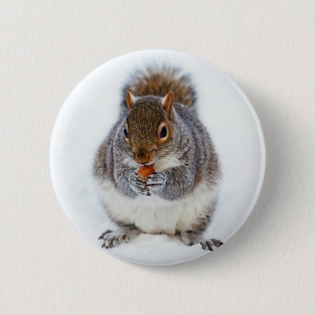 Squirrel 6 Cm Round Badge (Front)