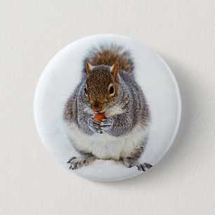 Squirrel 6 Cm Round Badge
