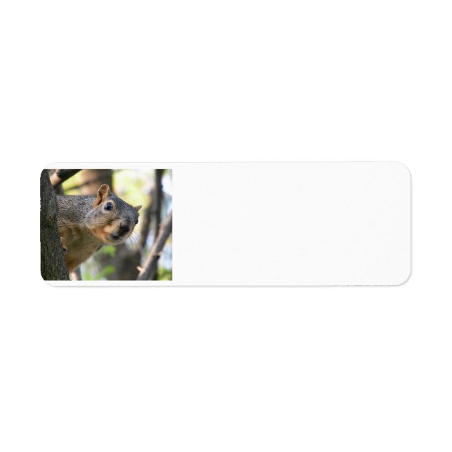 Squirrel address label return address label (Front)