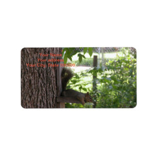 Squirrel Address Labels