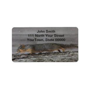 Squirrel Address Labels