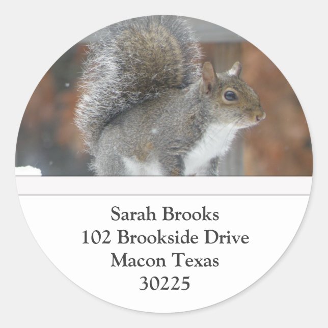 Squirrel Address Labels (Front)