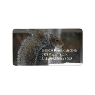 Squirrel Address Sticker