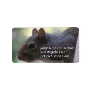 Squirrel Address Sticker