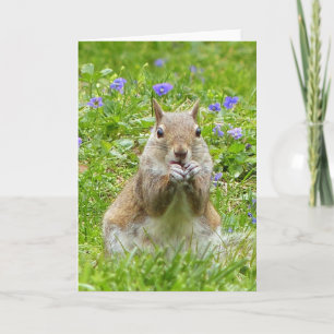 Squirrel Amongst Wild Violets Card