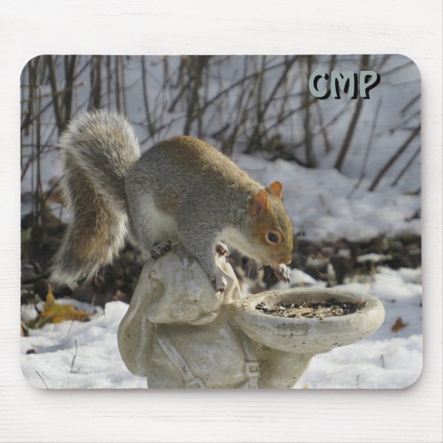 Squirrel And Bird Feeder with Your Initials Mouse Pad (Front)